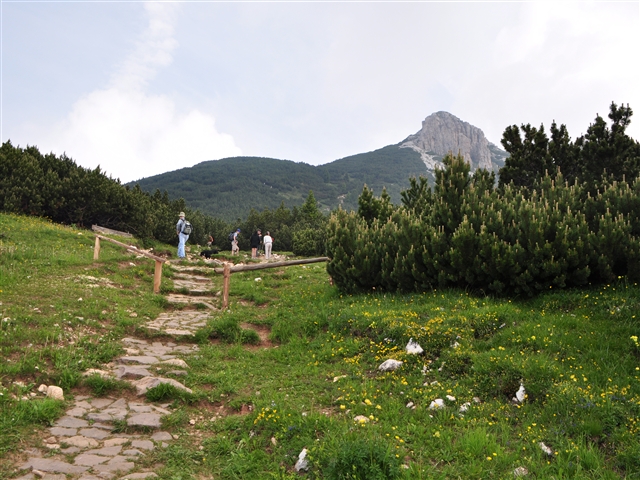 Il sentiero inizia a gradoni, per poi diventare roccia sdruciolevole man mano che si sale verso la cima del corno bianco.